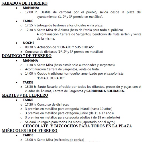 CarnavalTorrico1